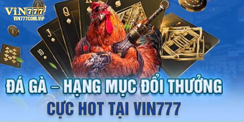 Đấu kê là một hình thức giải trí đổi thưởng đầy hứa hẹn và hấp dẫn